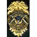 PIECE OFFICER BADGE PIN